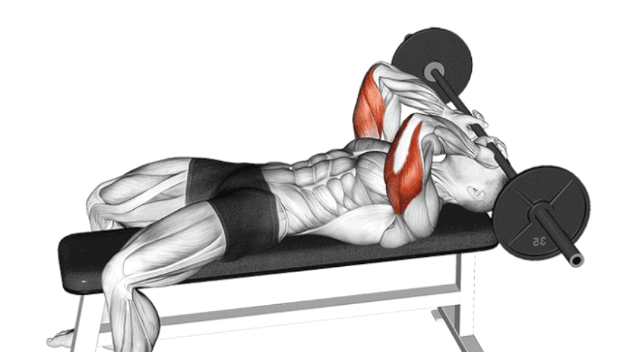Barre Front : Exercice Efficace pour Développer les Triceps