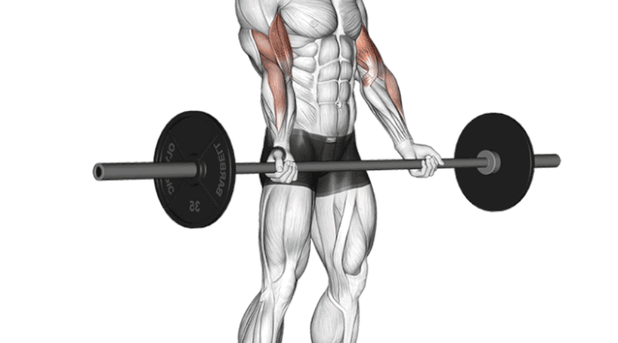 Curl à la Barre : Technique, Erreurs à Éviter et Variations pour des Biceps Massifs