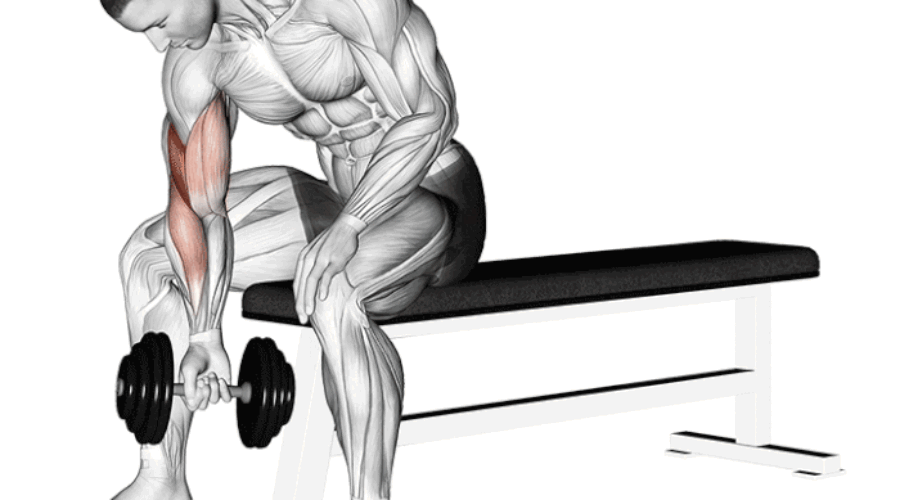Curl Concentré : Le Secret pour des Biceps Forts et Symétriques ! 