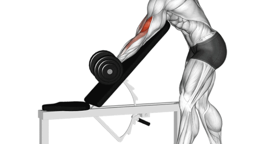 Curl haltère debout sur banc incliné : ciblez vos biceps avec une isolation optimale