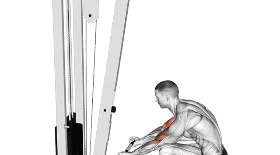 Curl à la poulie en position squat : Développez vos biceps avec une tension continue