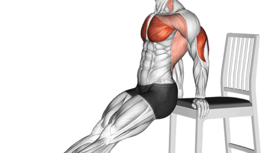 Dips sur une chaise : l’exercice simple et efficace pour des triceps en béton