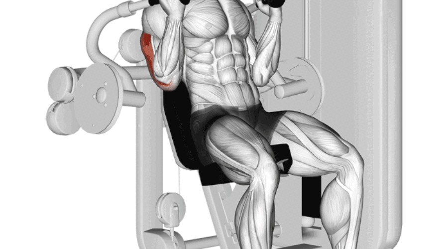 Extensions des triceps à la machine : isolez et renforcez vos bras efficacement
