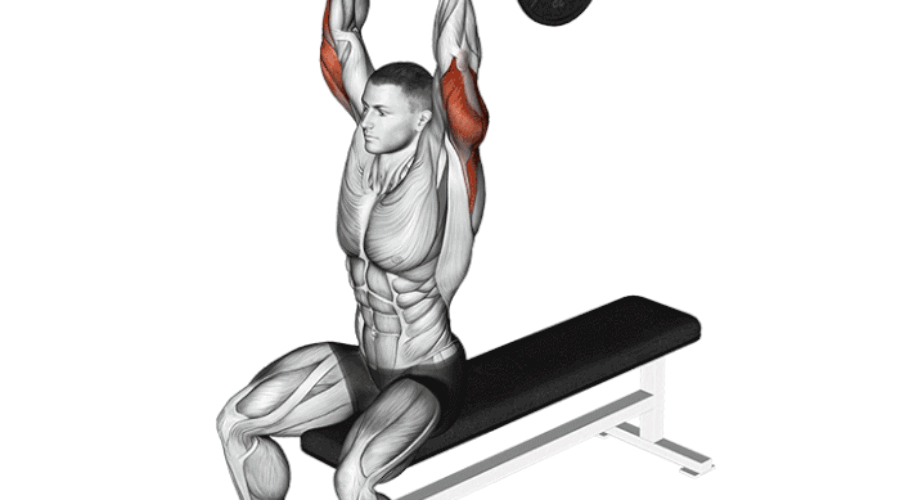 Extension verticale assise à la barre