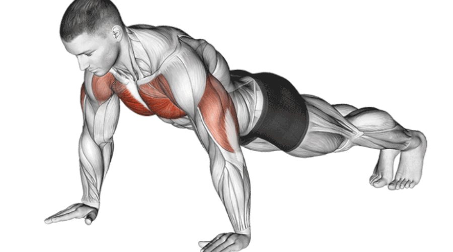 Maîtrisez les Pompes : Guide Complet pour un Entraînement Efficace