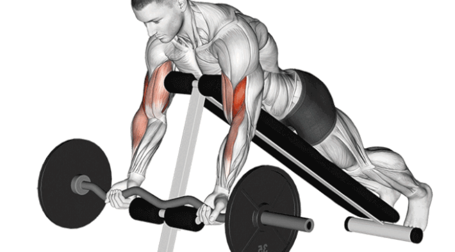 Curl Spider : L’exercice ultime pour des biceps définis et puissants